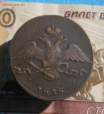 10 копеек 1835 СМ. На подлинность и оценку. - P9090004.JPG