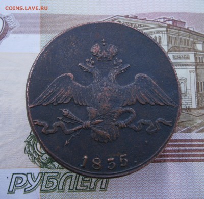 10 копеек 1835 СМ. На подлинность и оценку. - P9090006.JPG