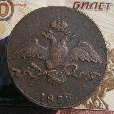 10 копеек 1835 СМ. На подлинность и оценку. - P9090004.JPG