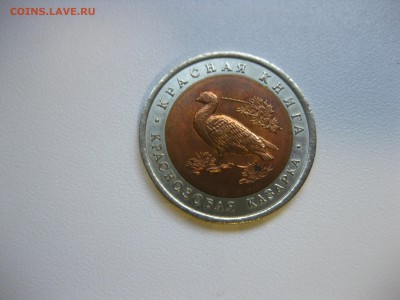 СССР,10 рублей 1992г(КК,Краснозобая казарка)!до 11.09.2016 - IMG_6029.JPG