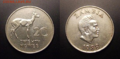 МОНЕТЫ МИРА 09-16 - Замбия – 20 нгве (1988) «Тростниковый козёл» (d-28,5мм)
