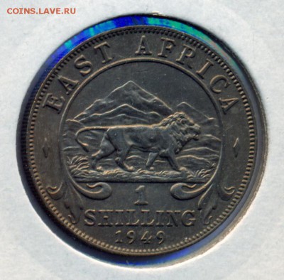Шиллинг Восточная Африка 1949 до 12.09 22-00 - ВА 49 ст 1