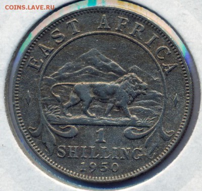 Шиллинг Восточная Африка 1949 до 12.09 22-50 - ВА 50 ст 1
