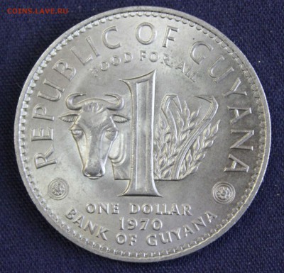С 1 руб. F.A.O. GUYANA  1 доллар 1979г. UNC до 15.09 в 22 - IMG_3087.JPG