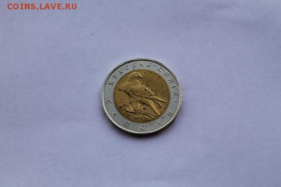 Кк 50 руб. 1994г Сапсан до 22-00.15.09.16 г. мс - IMG_4812.JPG