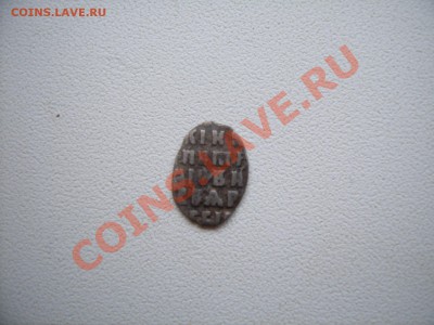 Чешуя на определение. - SUC53254.JPG