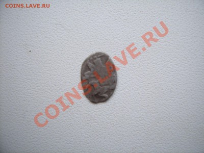 Чешуя на определение. - SUC53256.JPG