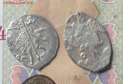 2 Чешуйки определение - IMG_1924.JPG