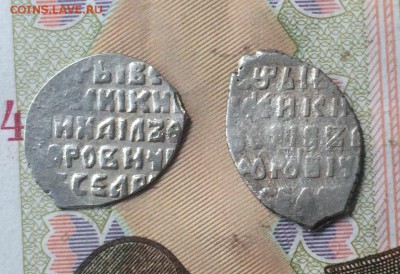 2 Чешуйки определение - IMG_1923.JPG