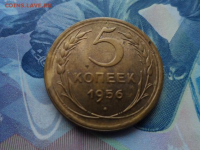 5 копеек 1953,54,55,56,57 гг. до 13.09.2016 г - SAM_2607.JPG