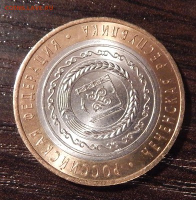 БМ Чеченская (мешковая) до 11=09=16_22*00мск - DSCN3296.JPG