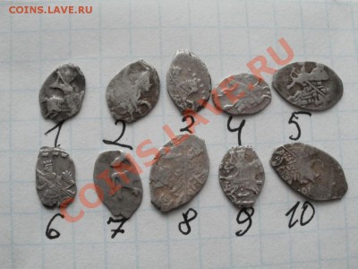 Помогите определить чешую по КГ. - PC080882.JPG