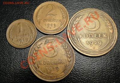 1,2,3,5,10,20 Копеек---1929---год.Неплохие!до12.12.в21.00мск - DSC05448.JPG