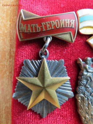 Звезда с номером мд - ффф