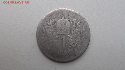 Австрия 1 корона 1894 до 15.09.16 22-00 по мск - IMAG0163