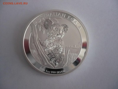 1 доллар Австралия 2015 год коала.Серебро 999 проба 18.09. 2 - P1240775.JPG