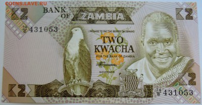 ЗАМБИЯ - 2 квачи 2013 г. пресс до 20.09 в 22.00 - DSCN7712