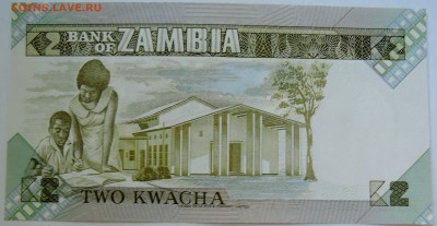 ЗАМБИЯ - 2 квачи 2013 г. пресс до 20.09 в 22.00 - DSCN7713