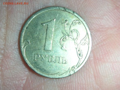 Три брака?На определение!!! - DSCN9921.JPG