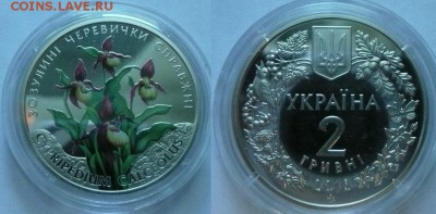 2гр 2016г.Украина - Кукушкины башмачки до 22.00 18.09.2016 - Зозулины башмачки 1-2