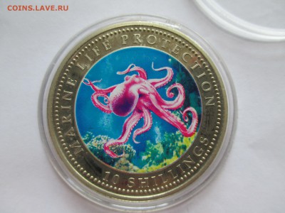 Сомали 10 шилингов цветная осьминог до 20 09 16 до 22 00 м - IMG_0209.JPG