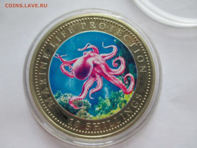 Сомали 10 шилингов цветная осьминог до 20 09 16 до 22 00 м - IMG_0208.JPG