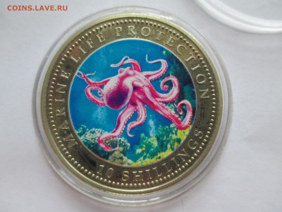 Сомали 10 шилингов цветная осьминог до 20 09 16 до 22 00 м - IMG_0207.JPG