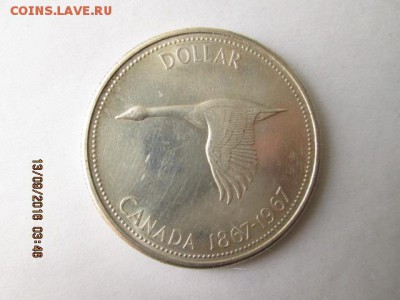 Канада, юб. доллар 1967 г.("гусь") до 22:оо 19.09. - 2016-09-13 00-46-22.JPG