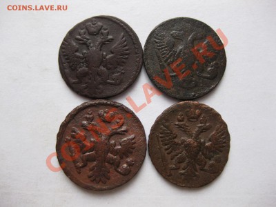 денга 1737,1750,1751,1754_,_,_,до 12.12.10 - IMG_6153.JPG