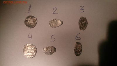6 чешуек на определение - DSC_1249.JPG