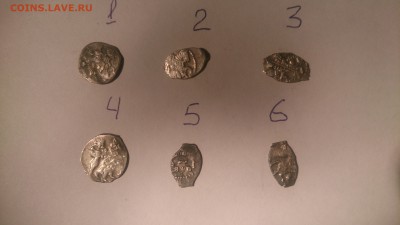 6 чешуек на определение - DSC_1250.JPG
