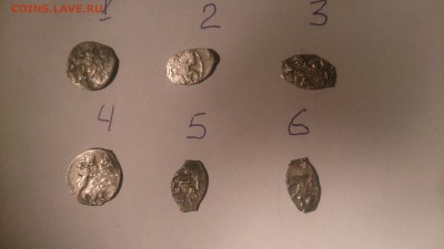 6 чешуек на определение - DSC_1251.JPG
