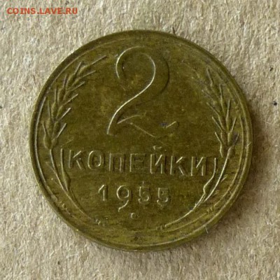 2 копейки 1955 год, до 21.09.2016г до 22.00 Мск (4) - P1040567