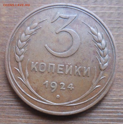3к 1924 рыжая до 16.9.16 22-00 короткий - DSCN1115.JPG