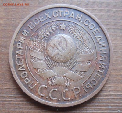 3к 1924 рыжая до 16.9.16 22-00 короткий - DSCN1116.JPG