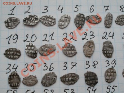 Продам чешую! 40р-1шт. На выбор! - PC090923.JPG