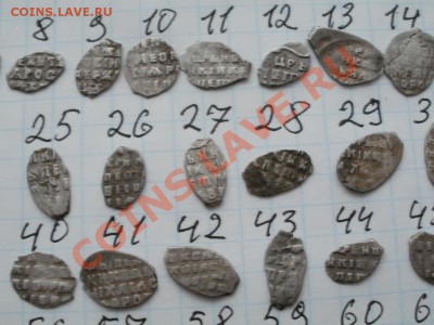 Продам чешую! 40р-1шт. На выбор! - PC090924.JPG
