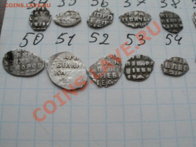 Продам чешую! 40р-1шт. На выбор! - PC090926.JPG