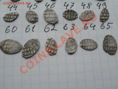 Продам чешую! 40р-1шт. На выбор! - PC090928.JPG
