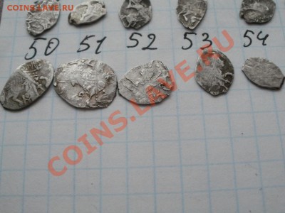 Продам чешую! 40р-1шт. На выбор! - PC090933.JPG