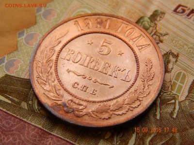 5 копеек 1911 медь. Красивая до 18.09 - DSCN6176.JPG