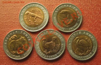 Красная книга, 50 рублей, 5шт. 1993г. - IMG_9606.JPG