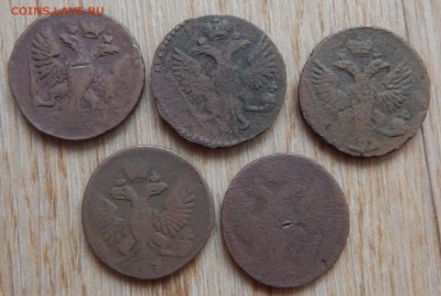 Денга 1744,46,49,50,54г. 5шт. - DSCN1354.JPG