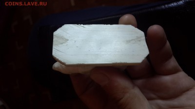 Белый медведь. Из кости . - 20160916_135722