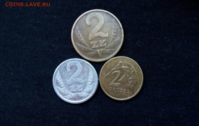 2 гроша Польши разные,до 18.09. - 7hGFMCOliVA