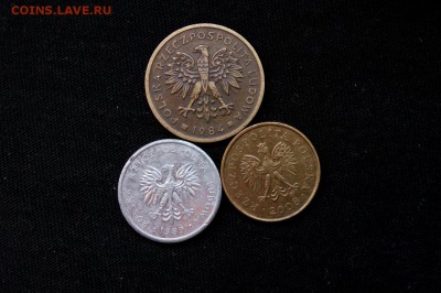 2 гроша Польши разные,до 18.09. - ErnZuMgsOA8