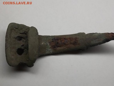 Помогите опознать что это такое ? - DSCN2840.JPG