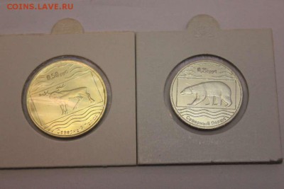 Набор монет Северный полюс России 2012 год - IMG_4817_thumb