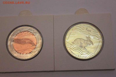 Набор монет Северный полюс России 2012 год - IMG_4816_thumb
