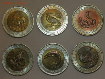 Красная книга- 6 монет- 91,92,93 -1 день в блеске-15.09 в 22 - 002.JPG
